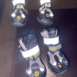 Puppy Shoes
