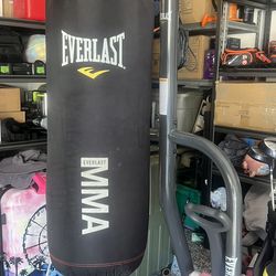 Punching Bag