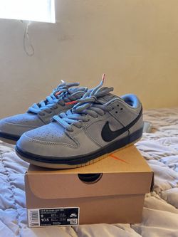 Nike Sb “cool grey”