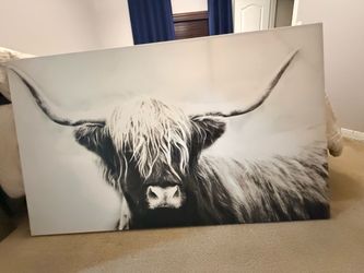 Large Highland Cow Canvas Wall Art