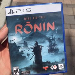 Rise Of The Ronin