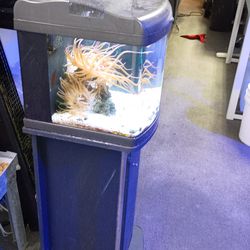 Small 15 gallon Nano Cube dx