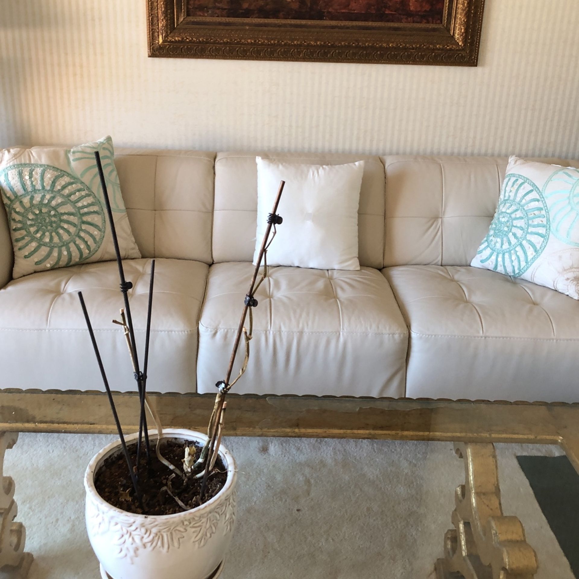 4pc set still like new pure leather obo