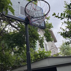 Basketball Hoop With Stand 