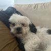Juan
