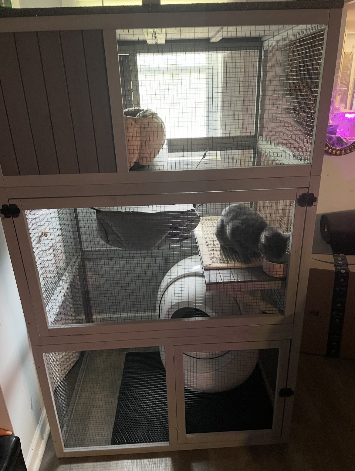 Cat Enclosure