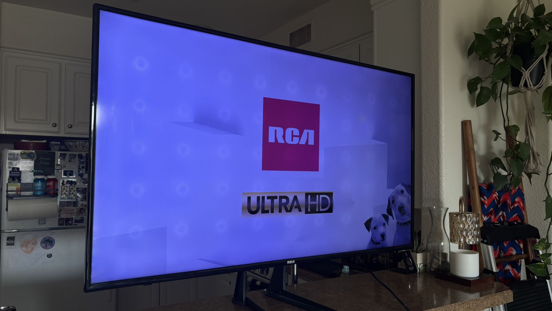 Flat Screen Tv