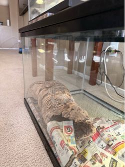 Complete Dragon* enclosure with accessories