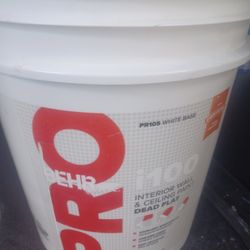 5 Gallons Interior Wall And Ceiling White Paint 