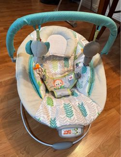 Baby Bouncer