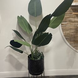 Tall Faux Tropical Plant (Banana Leaf / Bird of Paradise Style) in Black Planter