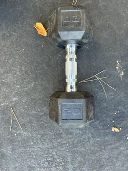 20 Pound Dumbbell