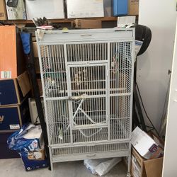 Bird Cage