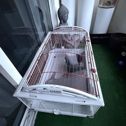 Guinea pig cage