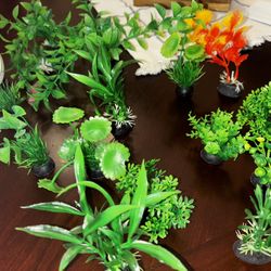 Fish Tank Accessories
