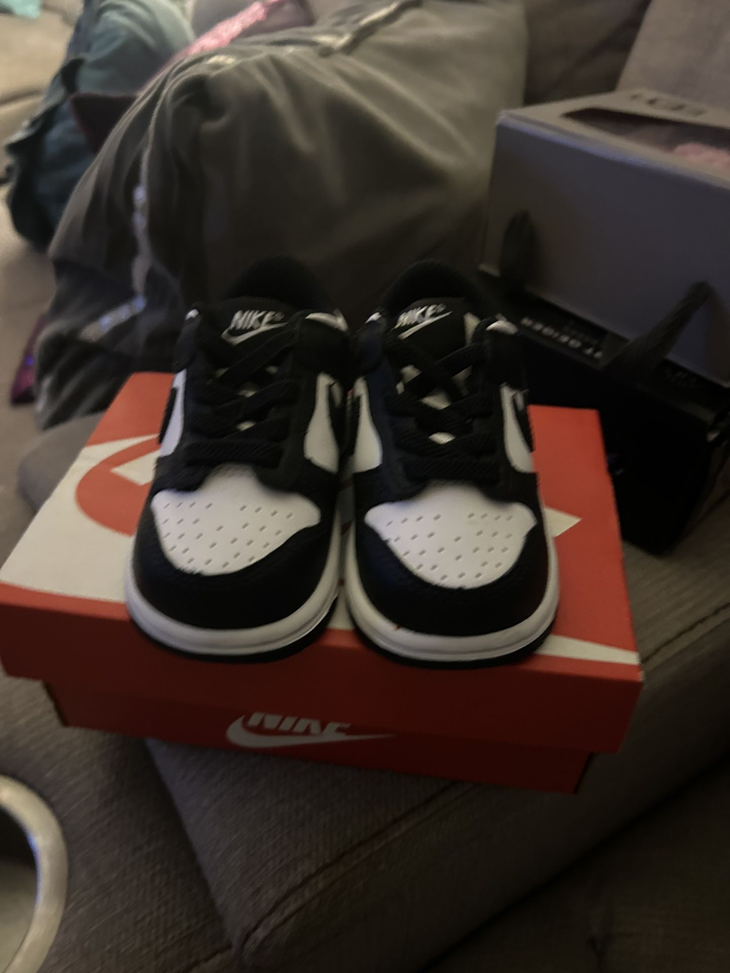 Baby Panda Dunks