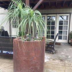 2 Large Cement Pots -