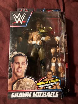 SURVIVOR SERIES SHAWN