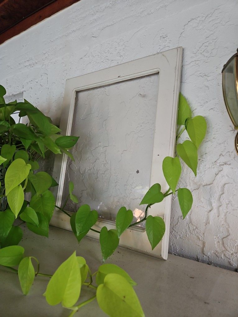 Window Picture Frame