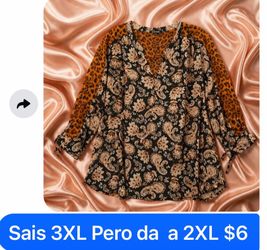 Blusa