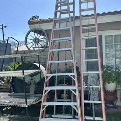 Ladder 12 Ft 