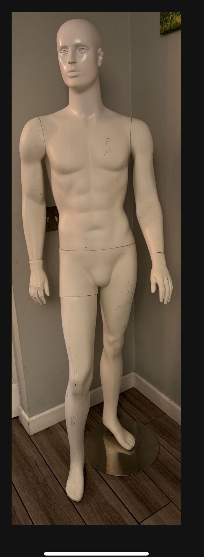 Mannequin Display