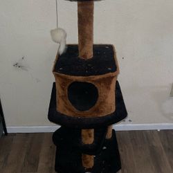 Cat Tower