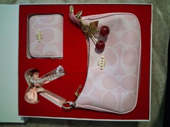 Pink coach bag/come with keychains.