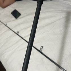 Diawa Emcast Rod