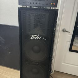 PEAVEY SPEAKER TOWER AND RECEIVER 