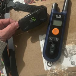 Dog Training Collar
