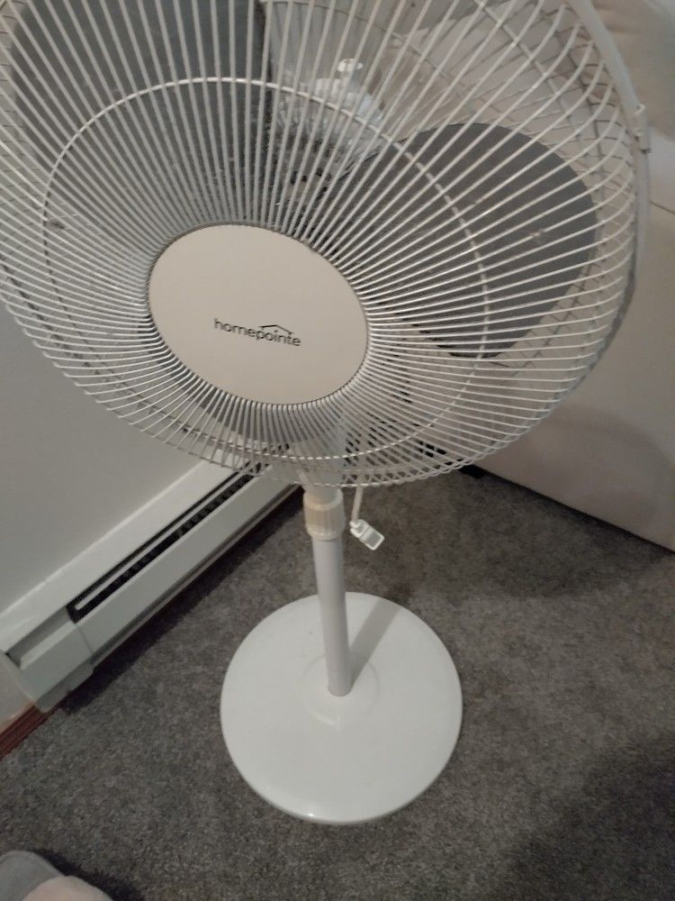 Oscillating Standing Fan