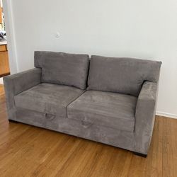 Crate & Barrel Sleeper Sofa