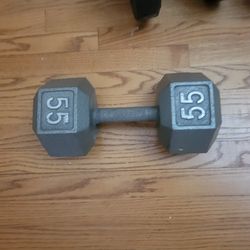 Single Dumbell 55 Lbs
