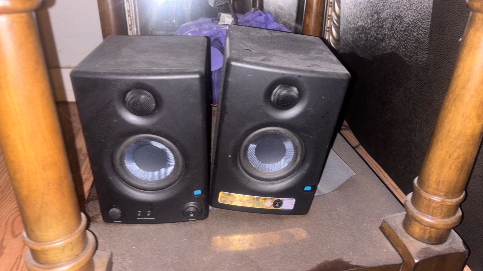 Monitor Speakers