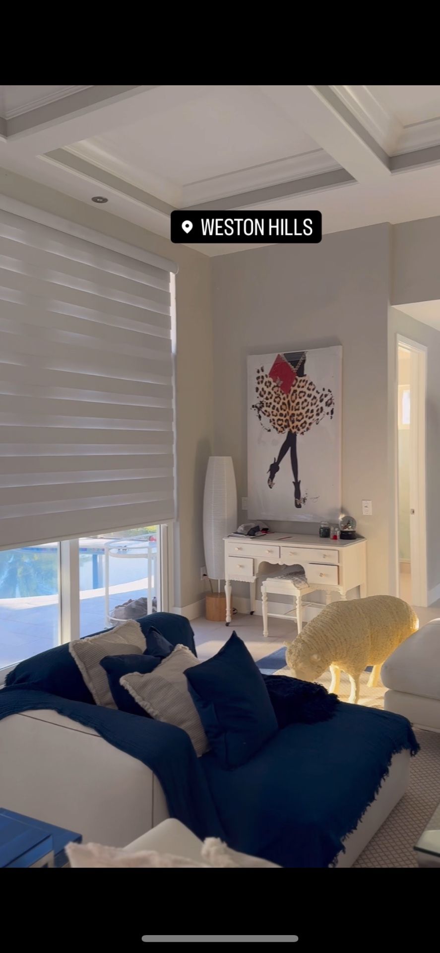 Zebra Shades Roller Shades