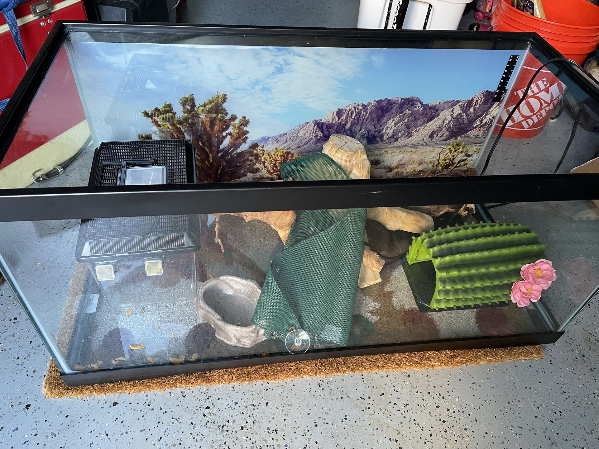 Terrarium 40gal