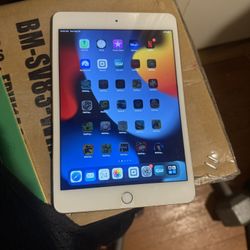 iPad mini 4(64GB)