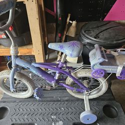 Disney Frozen 12 Inch Bike