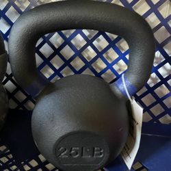 Kettlebell 25 Pound Weight