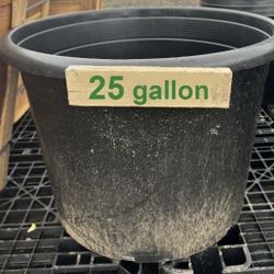 Black Plastic Plant Pot