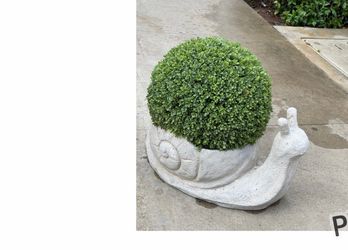 Patio decor