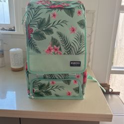 Igloo Daytripper Backpack