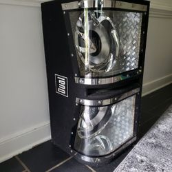 12” Subwoofer & Amp For Sale