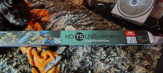 Uvb reptile light