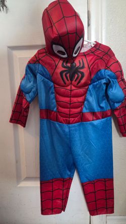 Spiderman costume