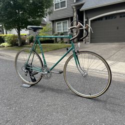 Fuji Road Bike