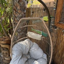 Hanging Chair