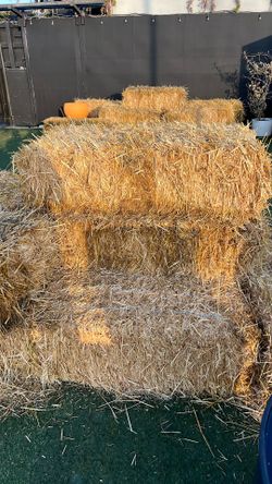 Hay For Sale 40 Units