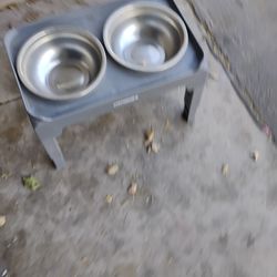 Dog dish